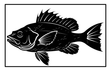 Haddock Nehri balık silueti. Balık Mezgit El çizimi, Nehir Haddock