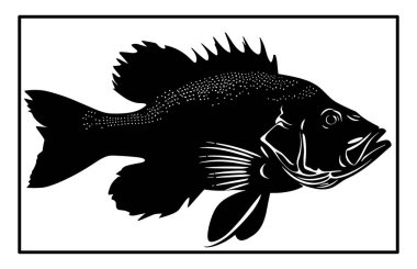 Haddock Nehri balık silueti. Balık Mezgit El çizimi, Nehir Haddock