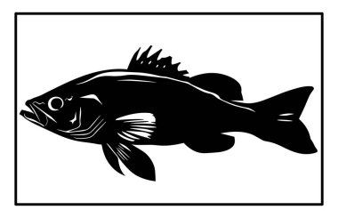 Haddock Nehri balık silueti. Balık Mezgit El çizimi, Nehir Haddock