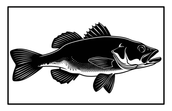 Haddock Nehri balık silueti. Balık Mezgit El çizimi, Nehir Haddock