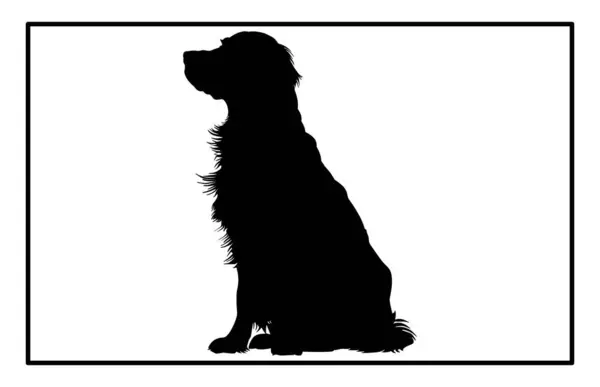 Golden Retriever köpeği silueti, Illustration 'daki zarif köpek profili, Golden Retriever siyah silueti.