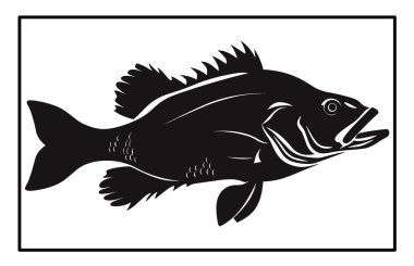 Siyah ve Beyaz Barramundi Balık Silüeti Görüntü, Barramundi balık logosu