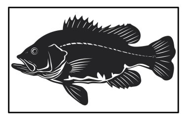 Siyah ve Beyaz Barramundi Balık Silüeti Görüntü, Barramundi balık logosu