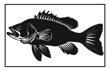 Siyah ve Beyaz Barramundi Balık Silüeti Görüntü, Barramundi balık logosu