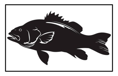 Siyah ve Beyaz Barramundi Balık Silüeti Görüntü, Barramundi balık logosu