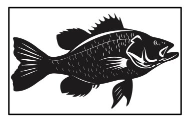 Siyah ve Beyaz Barramundi Balık Silüeti Görüntü, Barramundi balık logosu