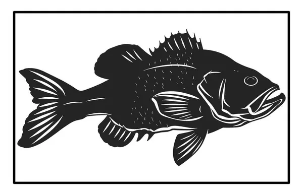 Siyah ve Beyaz Barramundi Balık Silüeti Görüntü, Barramundi balık logosu