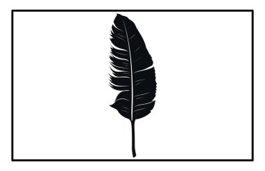 Muz yaprağı ikonu silueti. Muz yaprağı simgesi siyah renk seti, Muz Silueti Beyaz arkaplanda Yapraklar