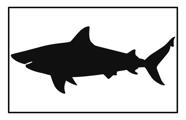 Suyun Altında Köpekbalığı Silueti Basking Black Icons Illustration