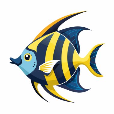 beyaz zemin üzerine Angelfish