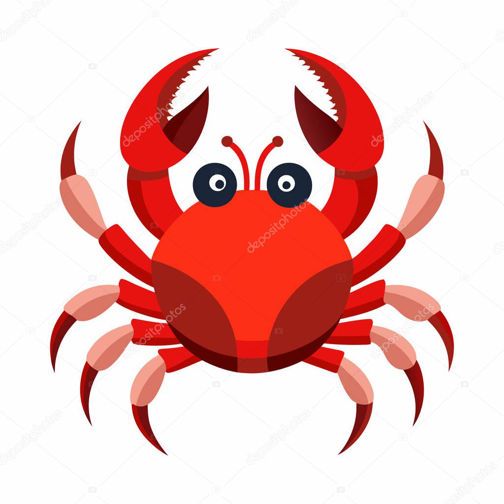 Red crab isolated on white