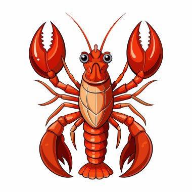  beyaz zemin üzerine kırmızı ıstakoz