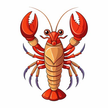  beyaz zemin üzerine kırmızı ıstakoz