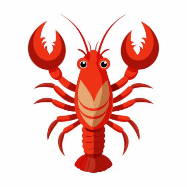  beyaz zemin üzerine kırmızı ıstakoz