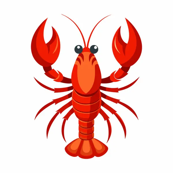  beyaz zemin üzerine kırmızı ıstakoz