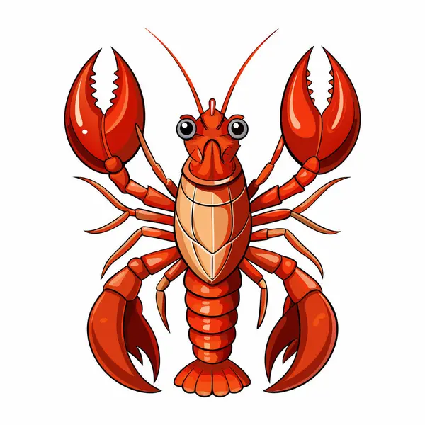  beyaz zemin üzerine kırmızı ıstakoz