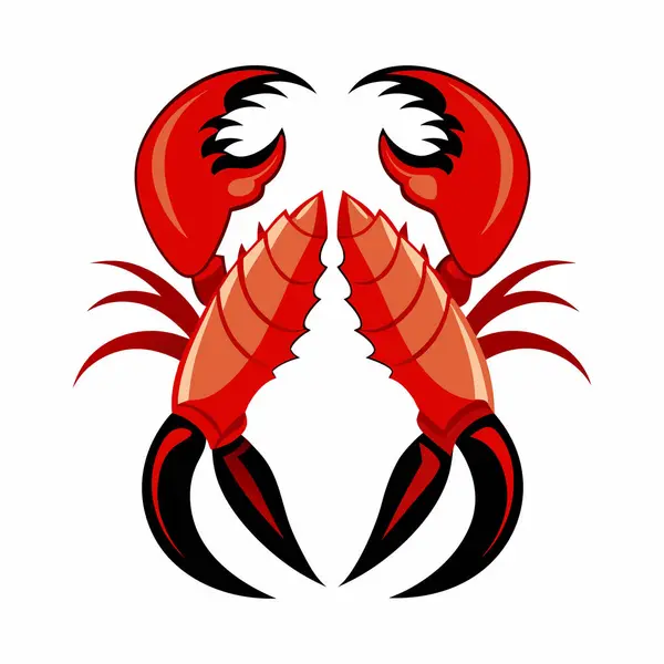  beyaz zemin üzerine kırmızı ıstakoz