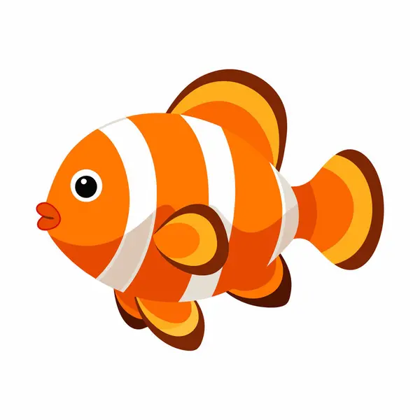 Beyaz arka plan üzerinde palyaço balığı