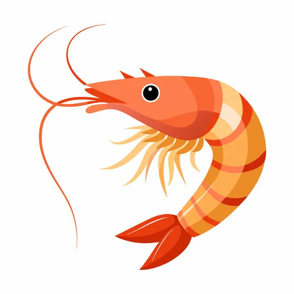 stock vector a cartoon drawing of a shrimp with a black eye and a white background.