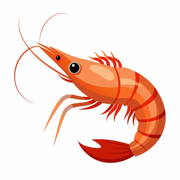 Mor gözlü ve beyaz arkaplanlı bir karides çizimi..