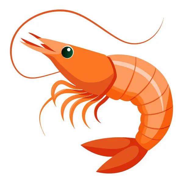 stock vector a cartoon drawing of a shrimp with a black eye and a white background.