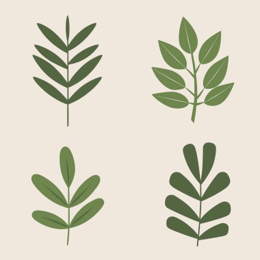 yeşil yapraklar dizisi 