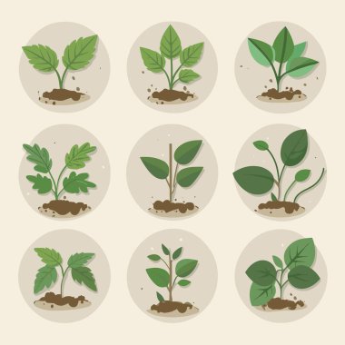 Çiçekler ve bitkiler tohumlama işlemi düz simgeler izole vektör illüstrasyonunu ayarlar