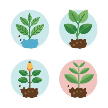 Büyüyen bitkilerin vektör illüstrasyonları ya da bitki yetiştirme tohumlarının bir koleksiyonu