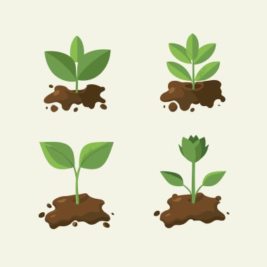 Büyüyen bitkilerin vektör illüstrasyonları ya da bitki yetiştirme tohumlarının bir koleksiyonu