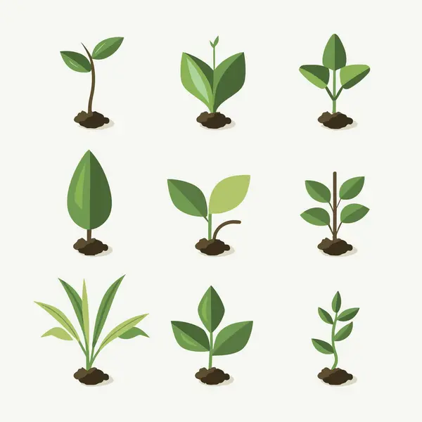 Çiçekler ve bitkiler tohumlama işlemi düz simgeler izole vektör illüstrasyonunu ayarlar