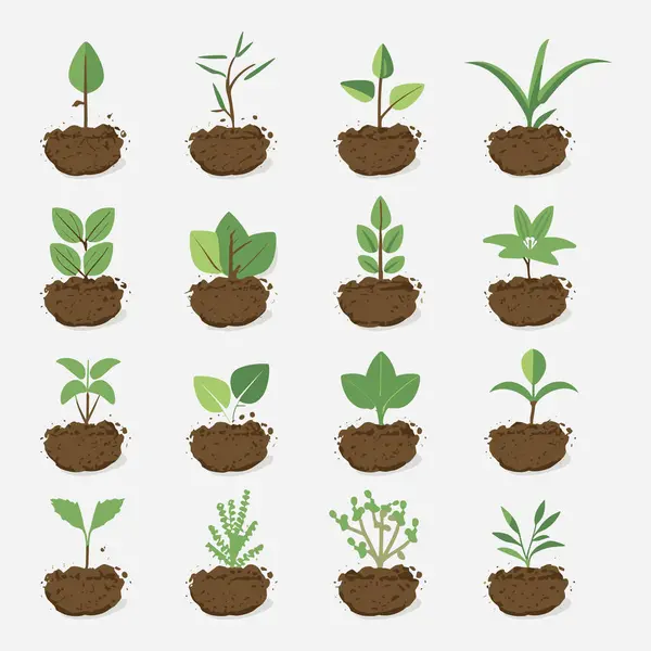 Çiçekler ve bitkiler tohumlama işlemi düz simgeler izole vektör illüstrasyonunu ayarlar