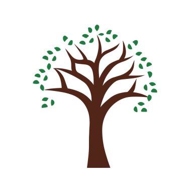 bir ağaç yaprakları ile