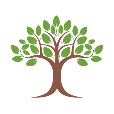 bir ağaç yaprakları ile