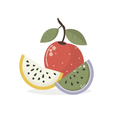 Meyve vektör kümesi