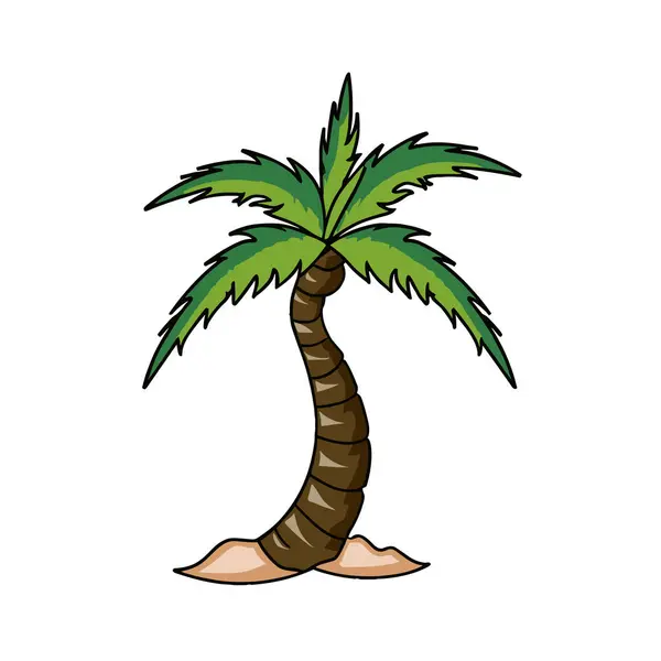 bir palmiye ağacı çizimi