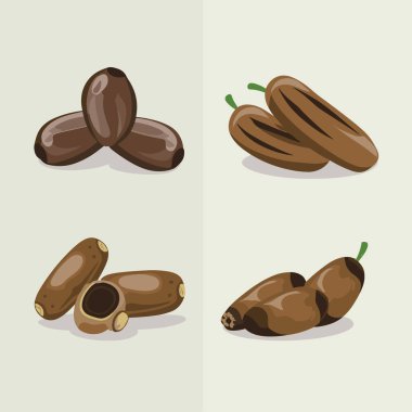 Beyaz zemin üzerinde izole edilmiş palmiye yapraklı vektör illüstrasyon hurma meyveleri. Lezzetli hurma meyvesi kavramı.