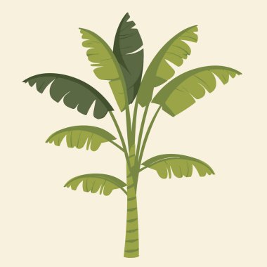 muz ağacı vektörü, düz renk muz ağacı simgesi