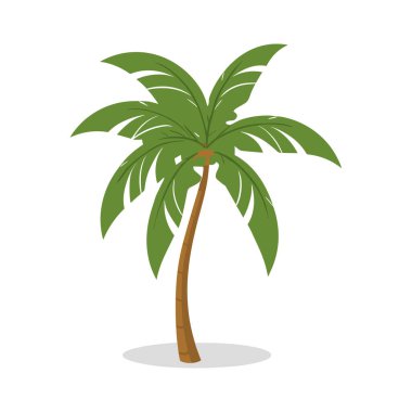 Hindistan cevizi ağacı vektörü, palmiye ağacı izole edilmiş düz vektör çizimi