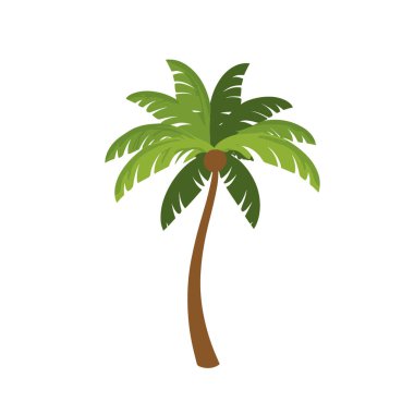 Hindistan cevizi ağacı vektörü, palmiye ağacı izole edilmiş düz vektör çizimi