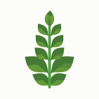 Kapalı yeşil bitkiler. İç dekorasyon için yeşillik, bitki severler. Düz bir tencerede çiçekler. Vektör illüstrasyonu.