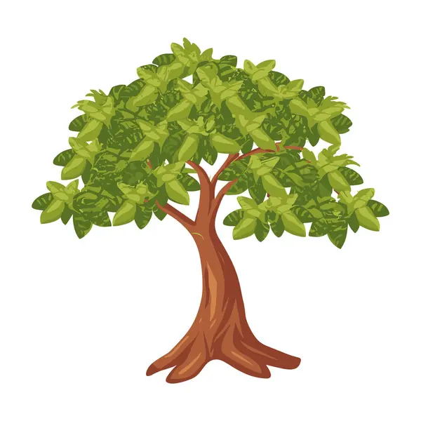 Ağaç izole edilmiş düz vektör çizimi. Ağaç. Vektör çizimi. Herhangi bir doğa ya da sağlıklı yaşam tarzını göstermek için kullanılabilir..