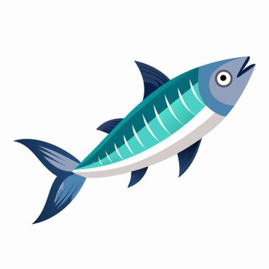 Ringa balığı beyaz arka planda izole edilmiş, beyaz zemin üzerinde taze Atlantik uskumrusu, beyaz arka planda ton balığı illüstrasyonu