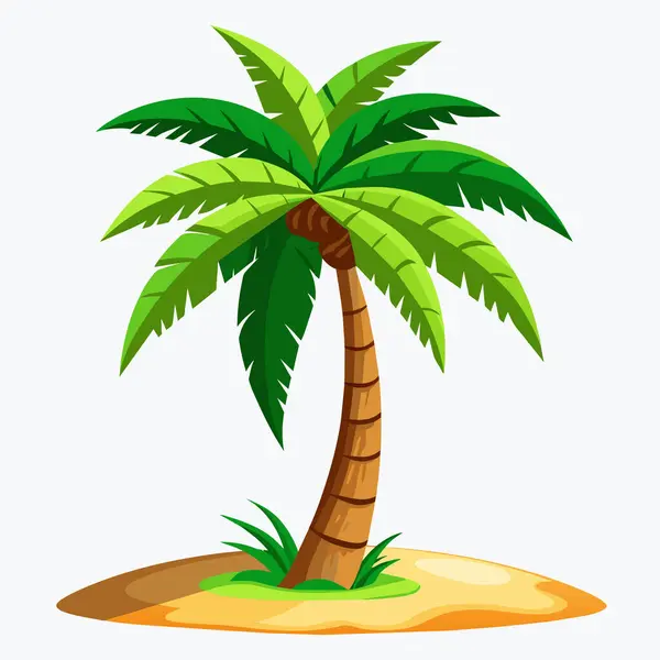 Palmiye ağacı izole edilmiş düz vektör çizimi