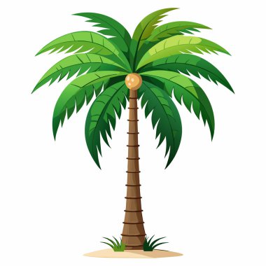 Beyaz zemin üzerinde bir palmiye ağacının düz bir vektör çizimi, palmiye ağacı çizimi ve çizimi