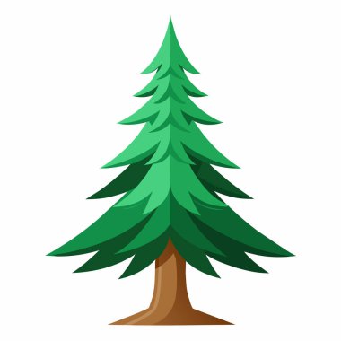Çam ağacı, noel ağacı, vektör sembolü ikon tasarımı. Dallar dizayn edilmiş doğal çam ağacı