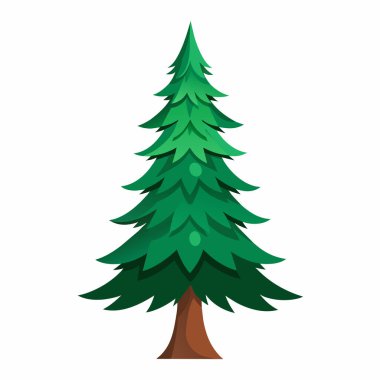 Çam ağacı, noel ağacı, vektör sembolü ikon tasarımı. Dallar dizayn edilmiş doğal çam ağacı