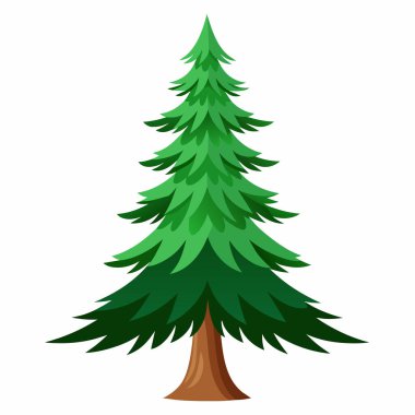Çam ağacı, noel ağacı, vektör sembolü ikon tasarımı. Dallar dizayn edilmiş doğal çam ağacı