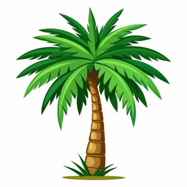Beyaz zemin üzerinde bir palmiye ağacının düz bir vektör çizimi, palmiye ağacı çizimi ve çizimi