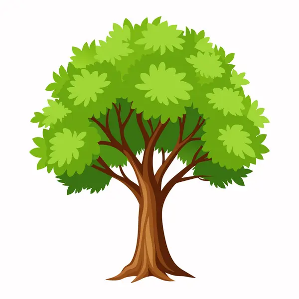 Beyaz arka planda yaprakları olan bir ağaç, beyaz arkaplanda yeşil ağaç çizimi