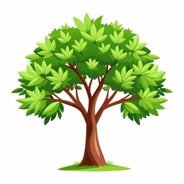 Beyaz arka planda yaprakları olan bir ağaç, beyaz arkaplanda yeşil ağaç çizimi